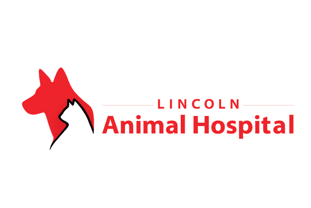 Lincoln Animal